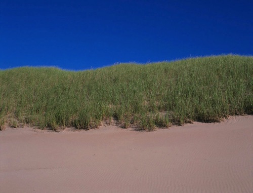 Dune 3, Prince Edward Island, Canadian Maritimes (MF).jpg
